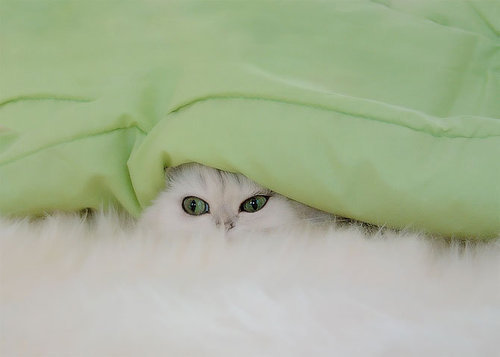 ȡϵС