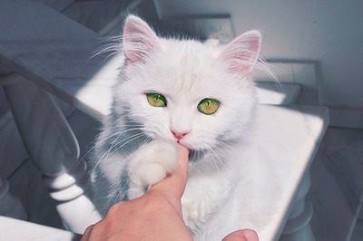 ȡϵС