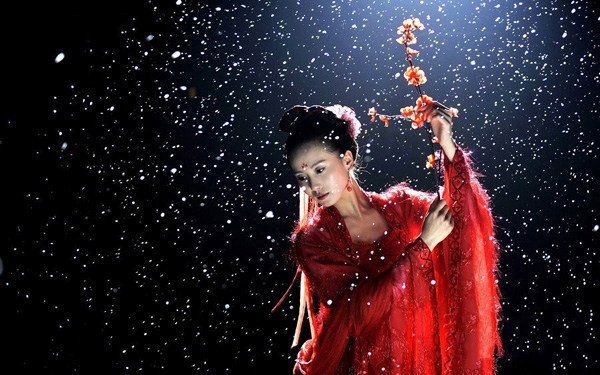 氣質(zhì)美女劉詩(shī)詩(shī)《步步驚心》美妝照