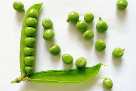 ţώ㡰óԲŕ(hu)ס
