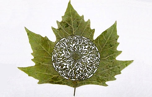 驚艷的樹葉雕刻藝術(shù)