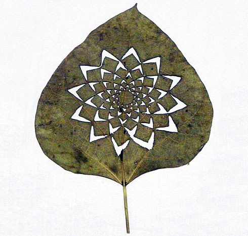 驚艷的樹葉雕刻藝術(shù)