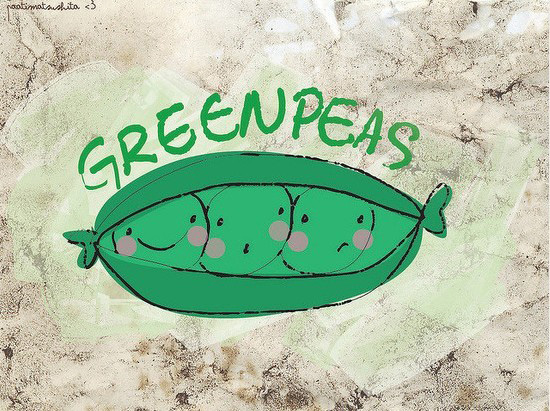 貓咪白兔小櫻桃 簡單愉悅的插畫