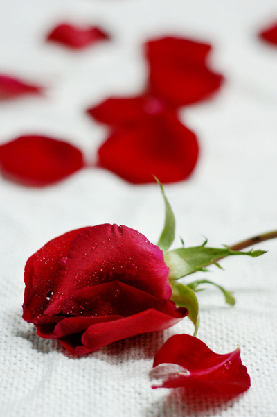 mһNeӵĜ