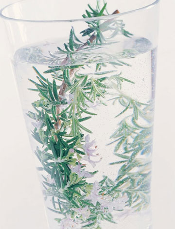 喝出水潤感肌膚 8款美容花草茶推薦