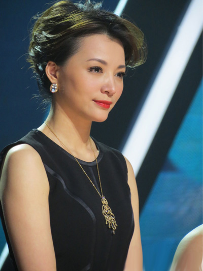 董卿楊瀾宋祖英學歷曝光 東方女神無花瓶