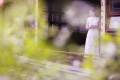 旗袍茶美人
