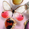 Accessori<em>ze</em> 2011ϵ Lf