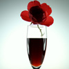 ӶYxƈϵĶY<em>ò</em>