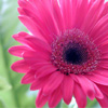 @ӵŮһҪ<em>ϧ</em>