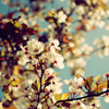 o5 񶬱?ci)ů? /></a>
						<a class=